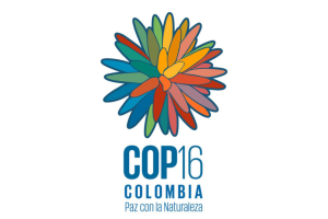 Bosque COP16: Un Proyecto de Esperanza y Restauración para Cali y el Mundo