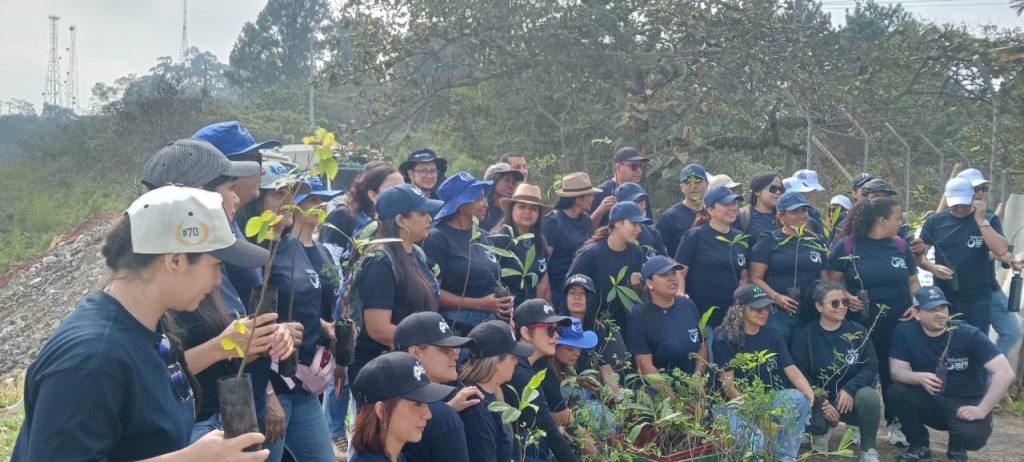 Siembra de Arboles Fundacion Coorficolombiana