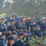 Siembra de Arboles Fundacion Coorficolombiana